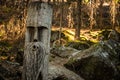 Sculpture in a tree. Stony path in a dark forest. Gentle sunlight between the trees.