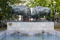 Sculpture of two large figures of bison in Kaliningrad
