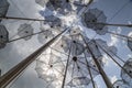 The sculpture Umbrellas located at the New Beach in Thessaloniki, Greece