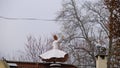 Sculpture of whirling dervish on the roof of a building near the green mosque yesil camii