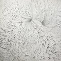Feathered Cellular Formations: Hyper-detailed Paper Art