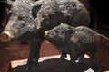 Sculpture of wild pigs, sow and piglet, in Sedona Arizona