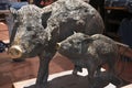 Sculpture of wild pigs, sow and piglet, in Sedona Arizona
