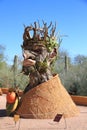 Arizona, Poenix - Tempe: Botanical Garden - Philip Haas Sculpture - WINTER