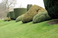 Sculptured Bushes in Garden Royalty Free Stock Photo