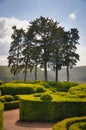 Sculptured Trees and Bushes in the Garden of Marqueyssac Royalty Free Stock Photo