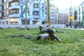 Sculptures of lizards on a green lawn in the city center of Amsterdam