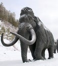 Sculptures of mammoths in Archeopark, Khanty - Mansiysk, Russia Located at the foot of glacial hill, Archeopark shows lifelike sta