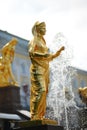 Sculptures of Peterhof fountains in the summer Royalty Free Stock Photo