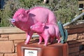 Sculptures of pink pigs on the central street of the city