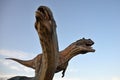 Sculptures of prehistorical predators