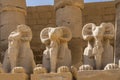 Sculptures of sphinxes-rams. Close-up. Full-face view.