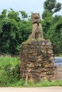 Sculptures of stone lions with ethnic minority characteristics