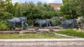 Sculptures of three Longhorn Steer by Robert Summers in Plano, Texas.