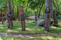 Sculptures in tree trunks at The Three Eyes National Park, Santo Domingo, Dominican Republic