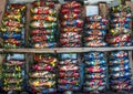 Scylla serrata. Fresh crabs are tied with colorful plastic ropes and arranged in a neat rows at the seafood market in Thailand. Royalty Free Stock Photo