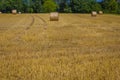 A scythed field with straw bales Royalty Free Stock Photo