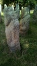 Scythian stone women on the lawn near the city museum. Ancient gray stone sculptures.