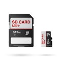 SD and Micro SD card isolated on white background, vector