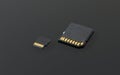 SD and Micro SD card. Royalty Free Stock Photo