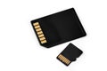 SD and microSD cards on Royalty Free Stock Photo