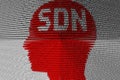 SDN concept head Royalty Free Stock Photo
