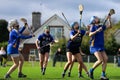 SE Systems Cork Camogie Senior Championship Semi Final: St. Finbarrs 1-08 vs Sarsfields 2-09 Royalty Free Stock Photo