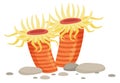 Sea anemone icon. Red bright marine animal Royalty Free Stock Photo