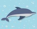 Dolphin icon. Sea animal cartoon. Vector graphic Royalty Free Stock Photo