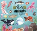Sea Animal Clipart