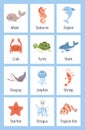 Sea animal flashcards. Learning ocean vocabulary.