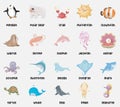 Sea animal poster. Educational printable poster