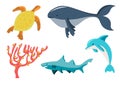 Sea animals Royalty Free Stock Photo