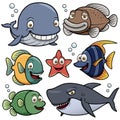 Sea Animals Collection