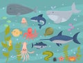 Sea animals creatures characters cartoon ocean wildlife marine underwater aquarium life water graphic aquatic tropical