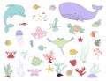 Sea animals, fish and water plants