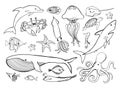Sea animals line icons hand drawn set