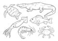 Sea animals line set