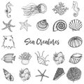 Sea Animals and Ocean Creatures Hand drawn Sketches Set. Coral, Sea horse, Seashells, sea stars, octopus, fishes outline