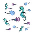 Sea animals- seahorse, stingrey, jellyfish