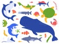 Sea animals species. Ocean animals in their natural habitat. Cute whale, dolphin, shark and turtle vector illustration Royalty Free Stock Photo