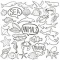 Sea Animals Traditional Doodle Icons Sketch Hand Made Design Vector Royalty Free Stock Photo
