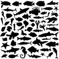 Sea animals vector Royalty Free Stock Photo