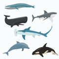 Sea animals vector set Royalty Free Stock Photo