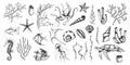 Sea Animals vector set with seaweeds, corals and seashells. Drawing of underwater life with seahorse and turtle in line Royalty Free Stock Photo