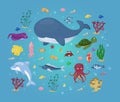 Sea animals vector water plants ocean fish cartoon illustration undersea water marine aquatic character life. Royalty Free Stock Photo