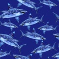 Sea animals watercolor seamless pattern. the attacking great white shark Royalty Free Stock Photo