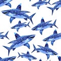 Sea animals watercolor seamless pattern. the attacking great white shark Royalty Free Stock Photo