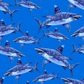 Sea animals watercolor seamless pattern. the attacking great white shark Royalty Free Stock Photo