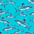 Sea animals watercolor seamless pattern. the attacking great white shark Royalty Free Stock Photo